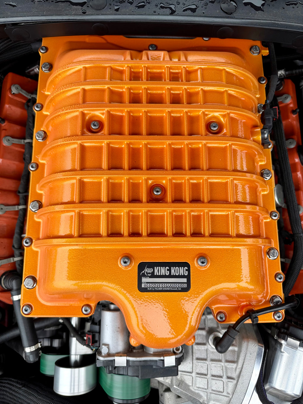 Supercharger Lid  Custom Powdercoat